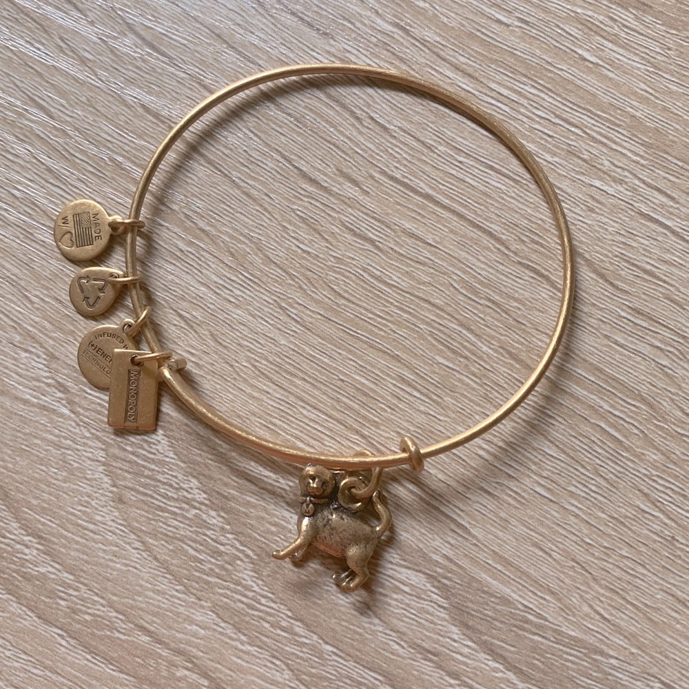 Alex and Ani Monopoly Cat Bangle